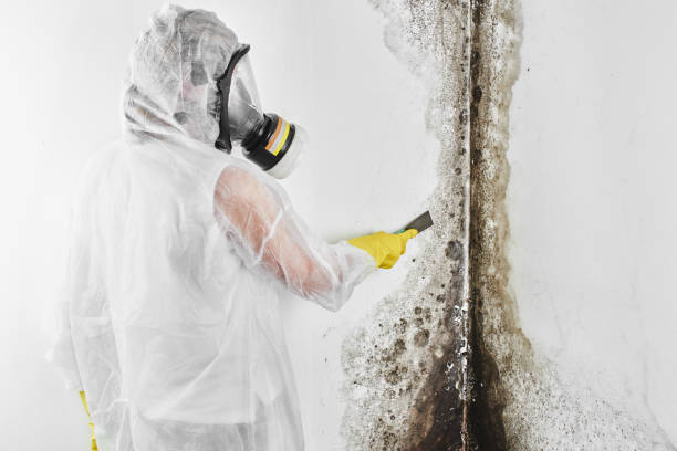Best Mold Testing  in Monrovia, MD