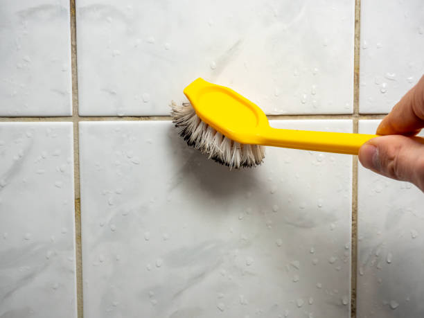 Best Black Mold Removal  in Monrovia, MD