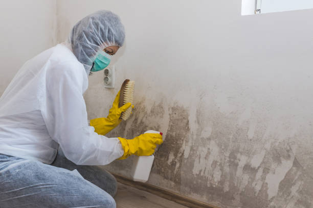 Best Residential Mold Removal  in Monrovia, MD