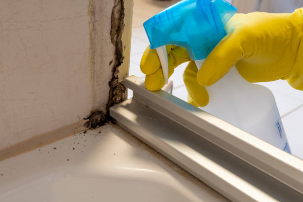 Best Mold Cleaning Services  in Monrovia, MD