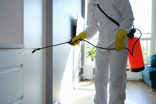 Best Mold Removal Near Me  in Monrovia, MD