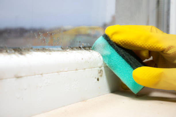 Monrovia, MD Mold Removal Company