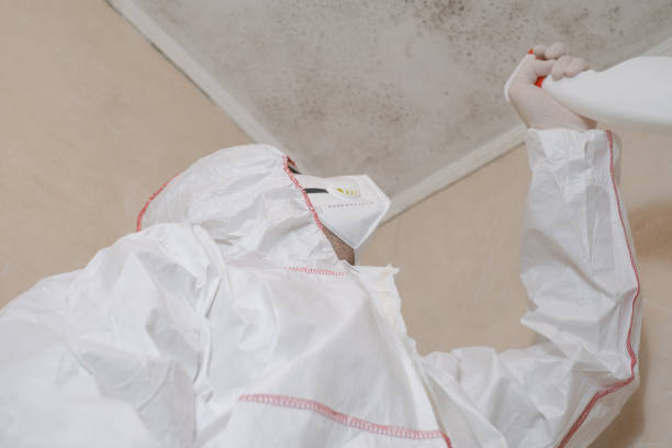 Best Professional Mold Removal  in Monrovia, MD