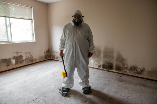 Best Black Mold Removal  in Monrovia, MD